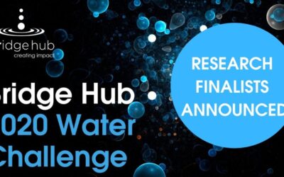 The Bridge Hub Trans-Tasman Water Challenge Research Finalists Announced!